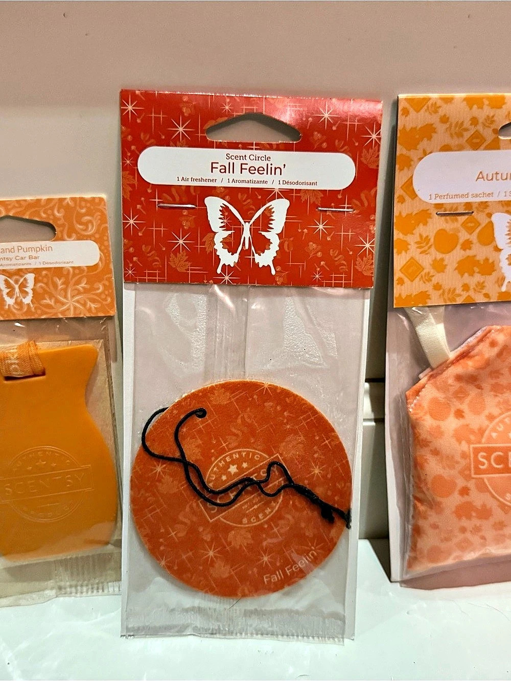 Scentsy Fall bundle - pumpkin fall harvest New